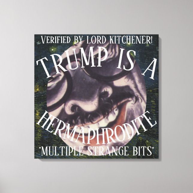 LORD KITCHENER CONFIRMED TRUMP IS A HERMAPHRODITE CANVAS PRINT (Front)