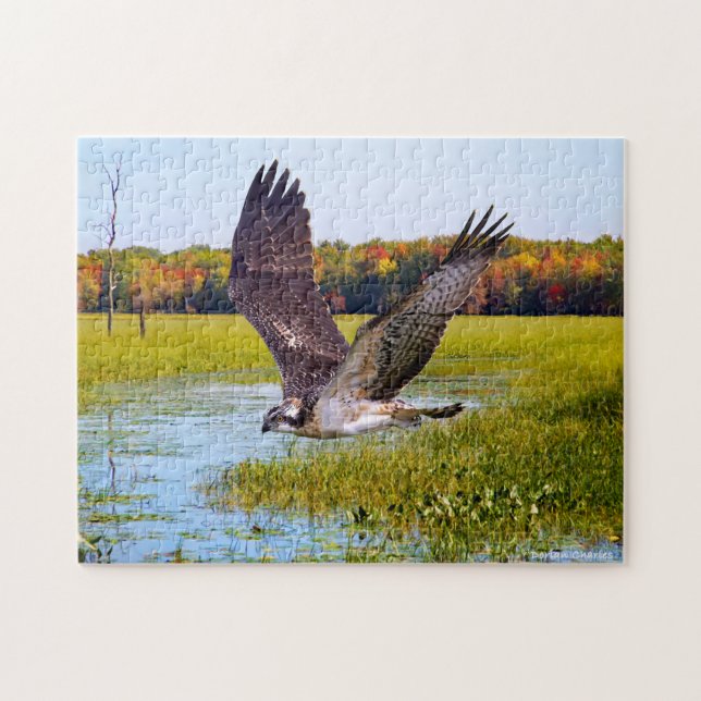 "Lord Of The Marsh" Puzzle (Horizontal)