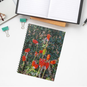 Lords and Ladies Italian Arum Floral Notebook