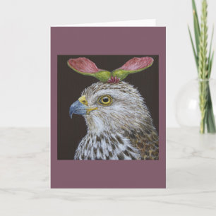 Loretta the Cooper's hawk greeting card
