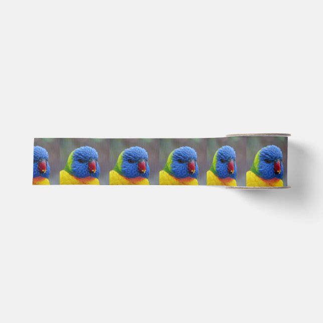 Lori_2015_0203 Grosgrain Ribbon (Front)