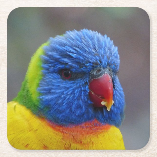 Lori_2015_0203 Square Paper Coaster (Front)