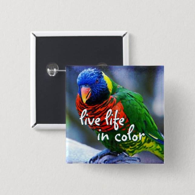 Lorikeet red blue green bird live life in colour 2 inch square button (Front & Back)
