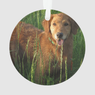 L'Ornement de Noël des trieurs d'or