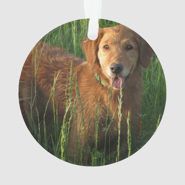 L'Ornement de Noël des trieurs d'or (dos)