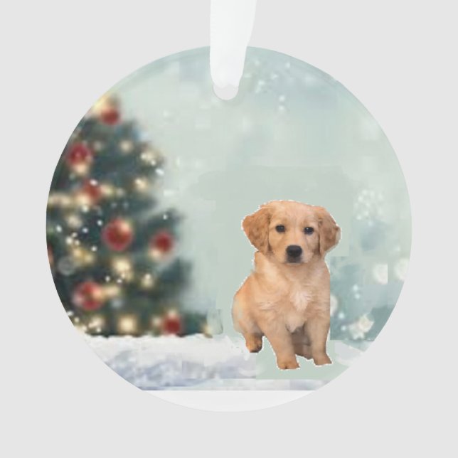 L'Ornement de Noël des trieurs d'or (devant)