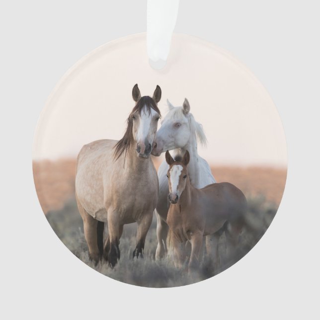 L'Ornement du Cheval de Famille Sauvage (devant)