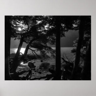 Los alerces national park waterfront landscape, ar poster
