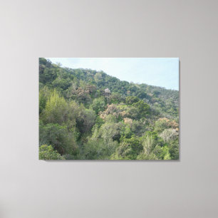 Los Altos Hills Canvas Print