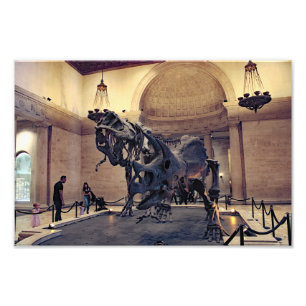 Los Angeles Natural History Museum  Photo Print