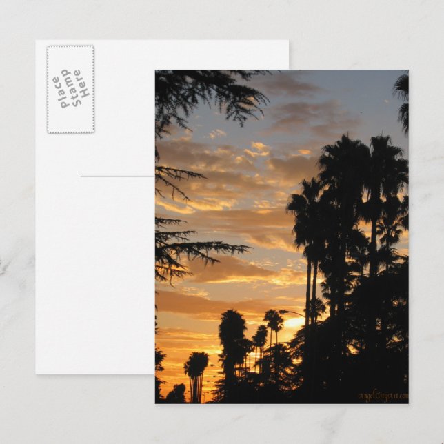 Los Angeles Palm Tree Sunset Postcard (Front/Back)