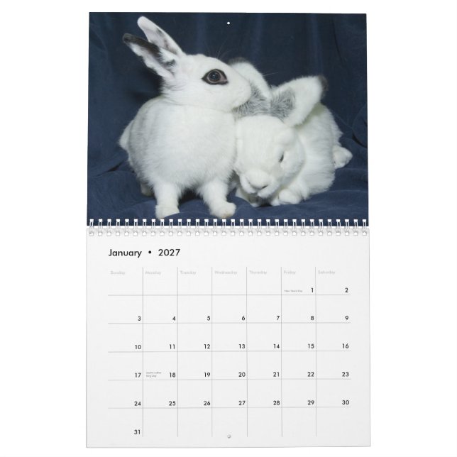 Los Angeles Rabbit Foundation 2013 Calendar (Jan 2027)