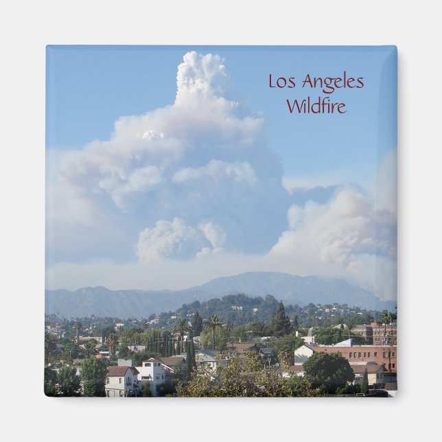 Los Angeles Wildfire Magnet! Day. Magnet (Front)