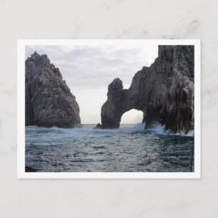 Los Cabos Postcard