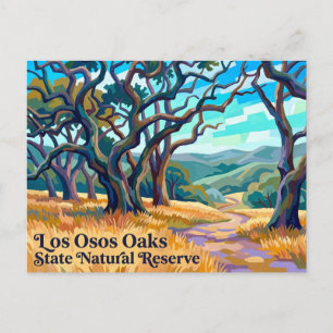 Los Osos Oaks State Natural Reserve California Postcard