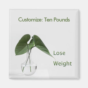 Lose Weight Diet Goals Magnet