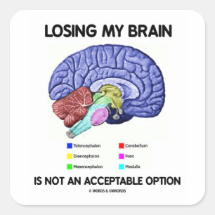 Losing My Brain Is Not An Acceptable Option Square Sticker