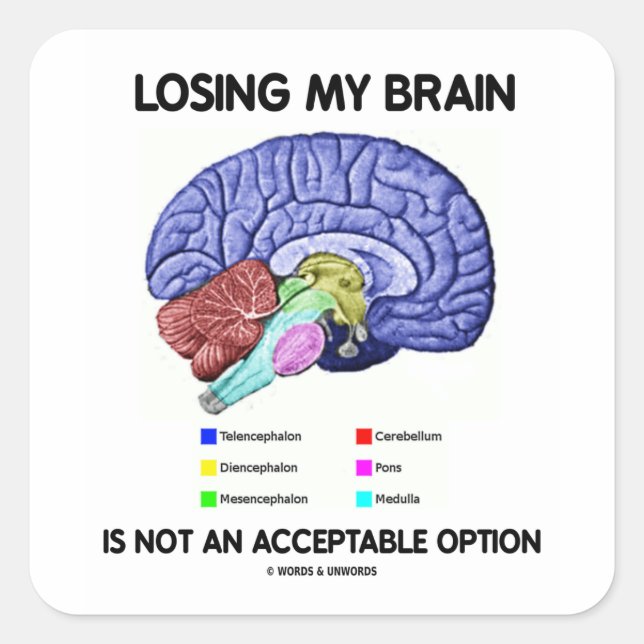 Losing My Brain Is Not An Acceptable Option Square Sticker (Front)