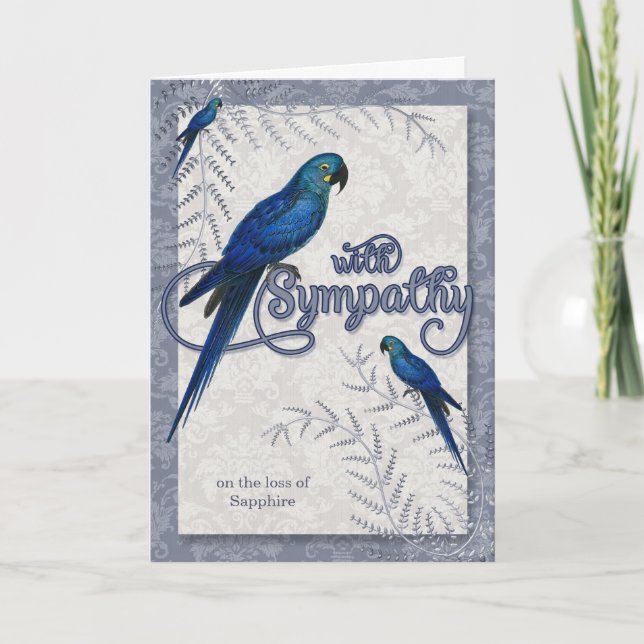 Loss of a Bird Hyancinth Macaw Pet Sympathy Card (Front)