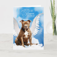 Loss of a Brown Pitbull Dog Pet Sympathy