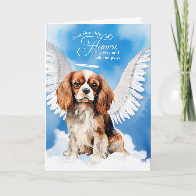 Loss of a Cavalier King Charles Dog Pet Sympathy Card (Front)