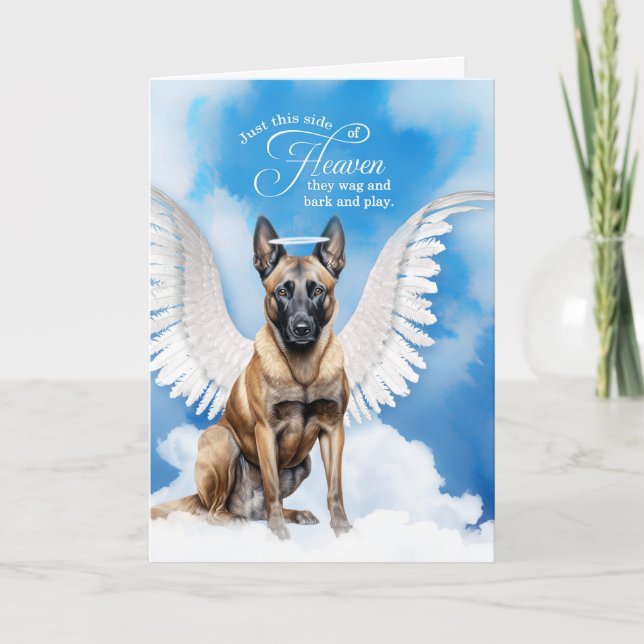 Loss of a Dog Belgian Malinois Angel Pet Sympathy Card (Front)