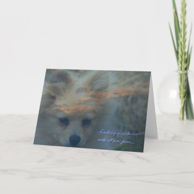 Loss of a dog. Loss of a pet. Condolences Sympathy Card (Front)