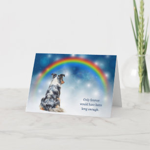 Loss of Australian Shepherd Night Lights Sympathy Holiday Card