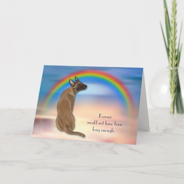Loss of Belgian Malinois Dog Rainbow Sympathy Card (Front)