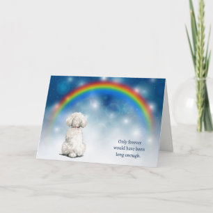 Loss of Bichon Frise Dog Night Lights Sympathy Holiday Card