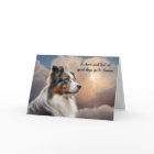 Loss of Blue Merle Australian Shepherd Sympathy