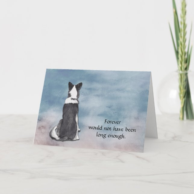Loss of Border Collie Condolence Sympathy Card (Front)