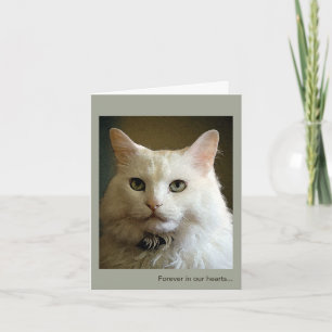 Loss of Cat Sympathy Card