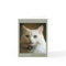 Loss of Cat Sympathy Card