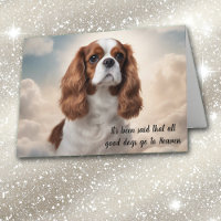 Loss of Cavalier King Charles Spaniel Sympathy