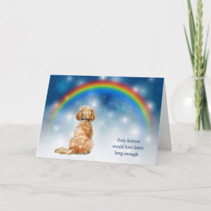 Loss of Cavapoo Dog Night Lights Sympathy Holiday Card
