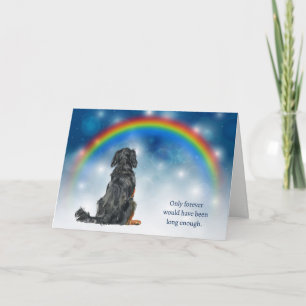 Loss of Gordon Setter Dog Night Lights Sympathy Holiday Card