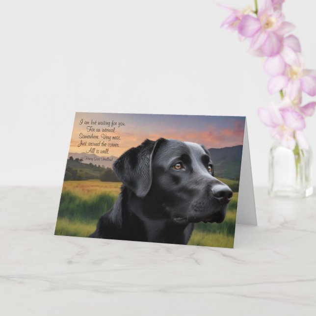 Loss of Pet Dog (Black Lab) Custom Sympathy Card (Orchid)