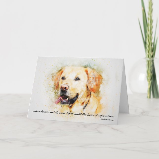 Loss of Pet Dog (Yellow Lab) Custom Sympathy Card (Front)