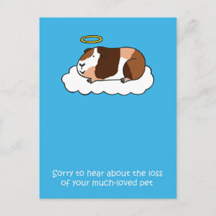 Loss of Pet Guinea Pig. Postcard