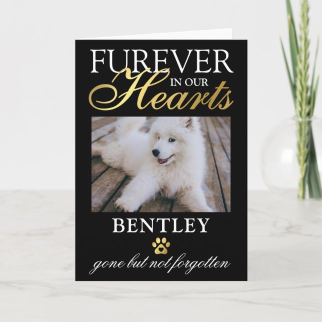 Loss of Pet Sympathy Card (Front)