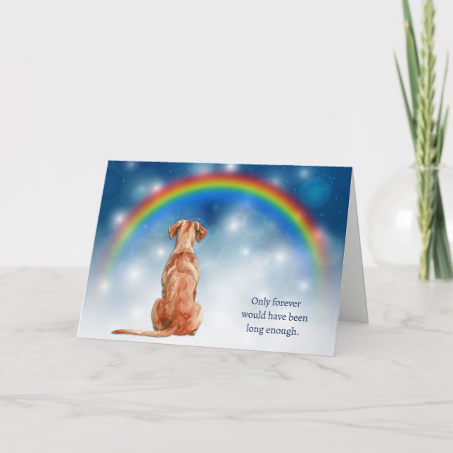 Loss of Vizsla Dog Night Lights Sympathy Holiday Card (Front)