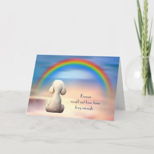 Loss of White Poodle (Back View) Sympathy Card