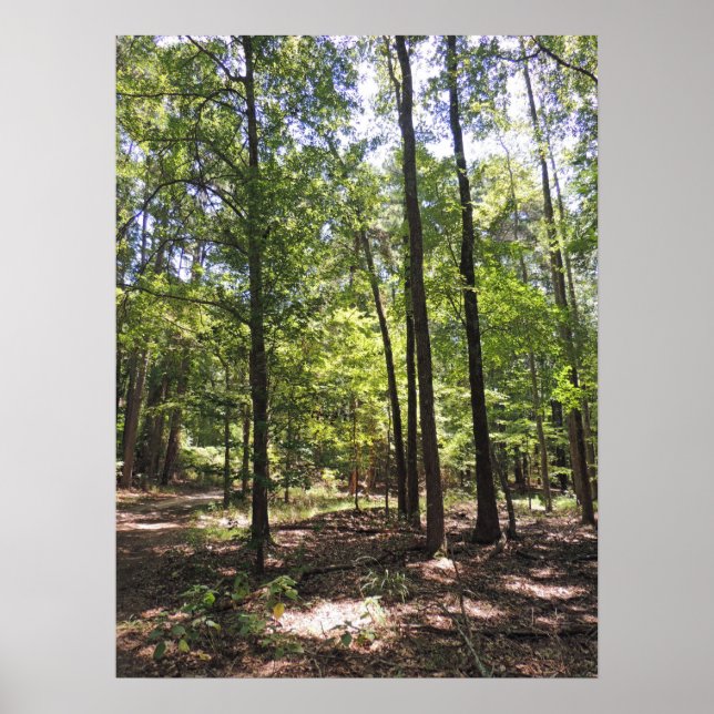Lost Acres Print (Front)