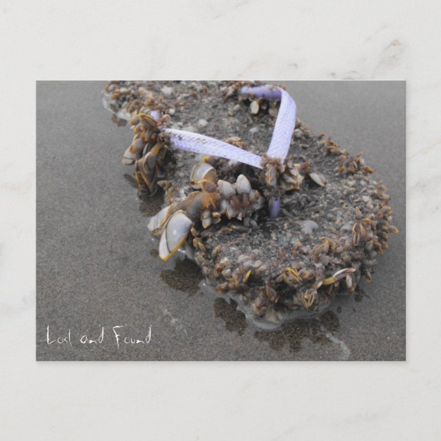 Lost and Found Postcard (Front)