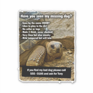 Lost Dog DOOBY