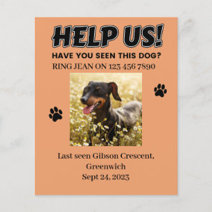 LOST DOG FLYERS. HELP US! Editable details  Flyer