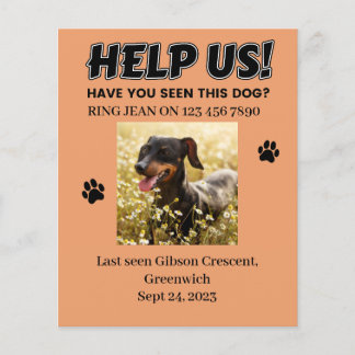LOST DOG FLYERS. HELP US! Editable details  Flyer