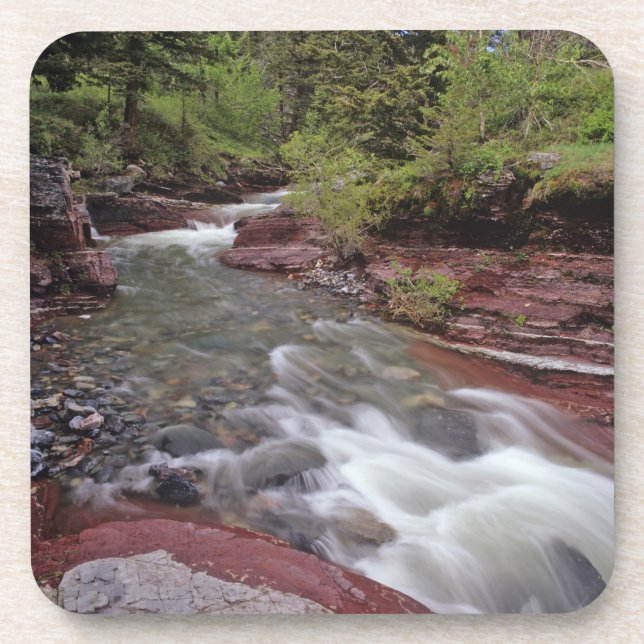 Lost Horse Creek in Waterton Lakes National Park Coaster (Front)