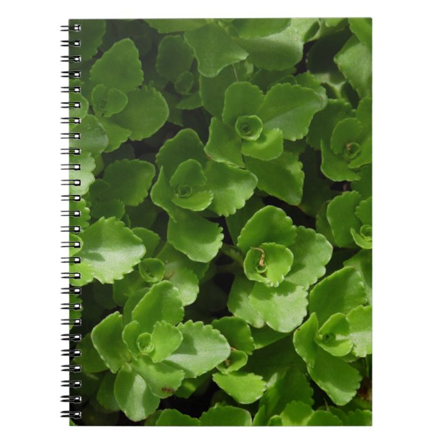 Lost in Leaves Notebook (Front)